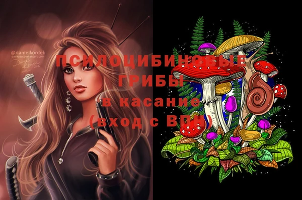 кокаин премиум Заводоуковск