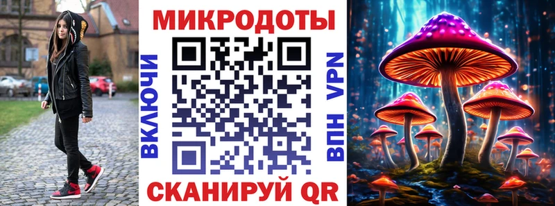 где можно купить наркотик  Калачинск  Галлюциногенные грибы Cubensis 